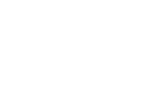 SpineVision_LogoC3_Blanc