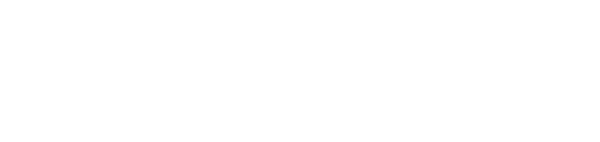 SpineVision_LogoFlex2_Blanc