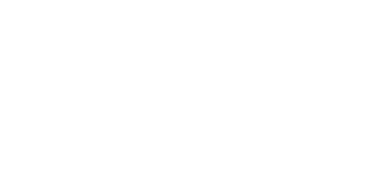 SpineVision_LogoPlus_Blanc