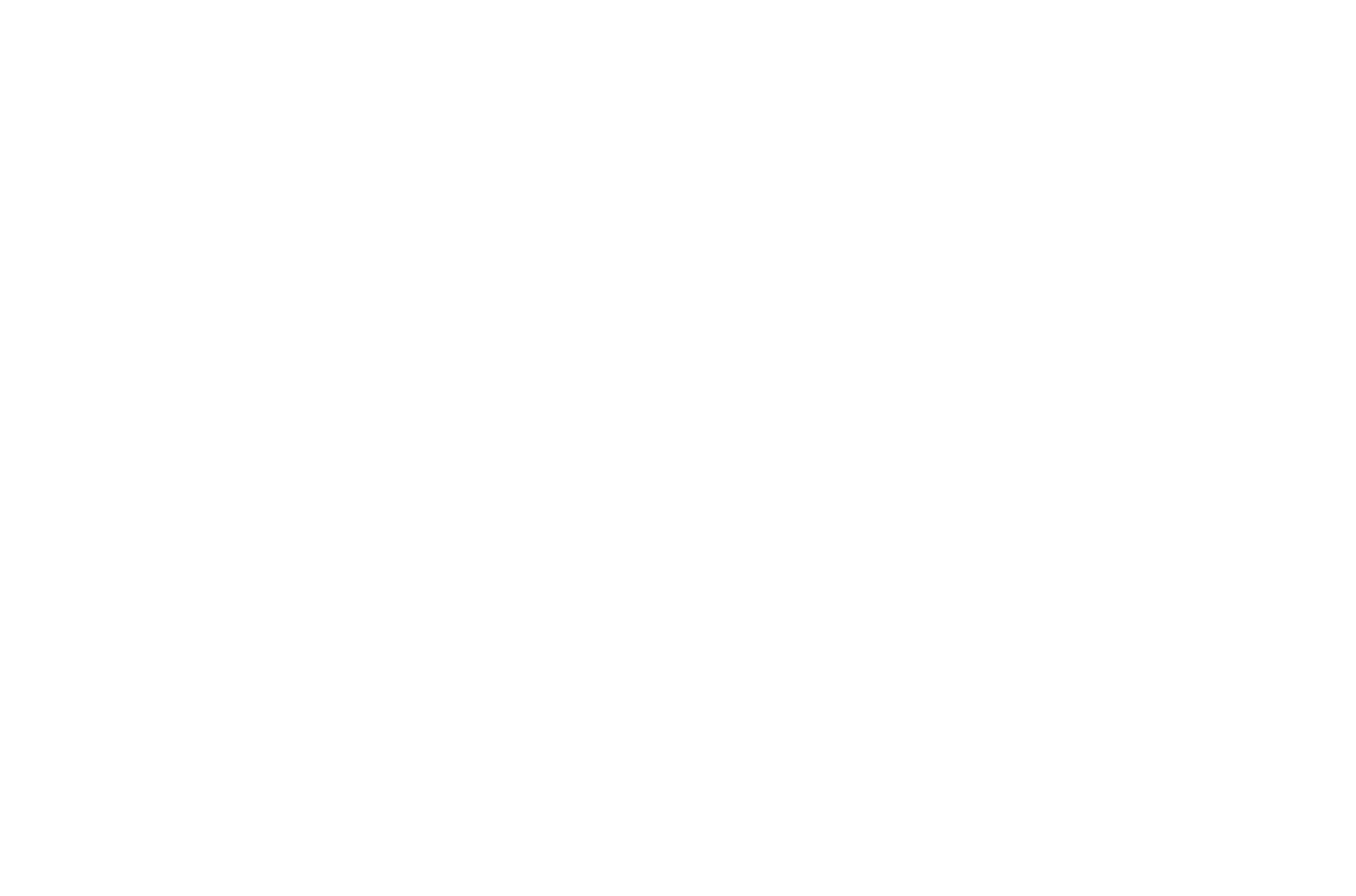 Logo-Zona-White_C3-HD