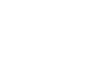 Logo-Zona-White_Lumis-HD