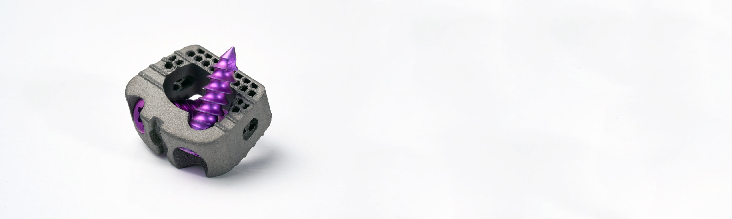 Hexanium ACIF - SPINEVISION SAS